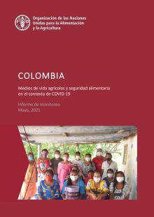Colombia | Medios de vida agrícolas y seguridad alimentaria en el contexto de COVID-19